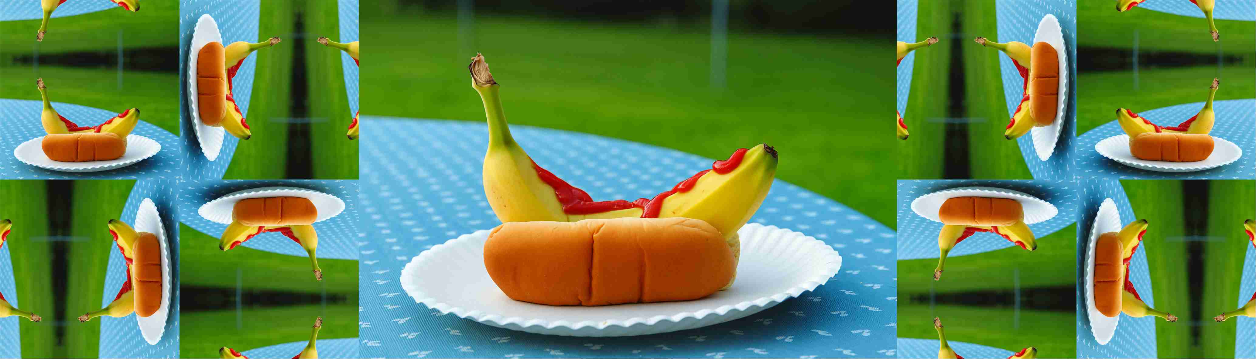 bananaDog