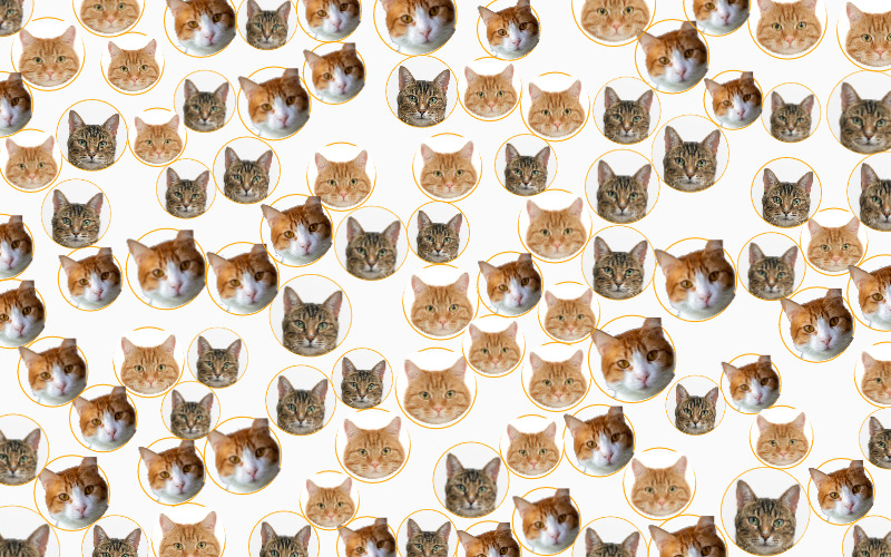 Image packing (cats) example